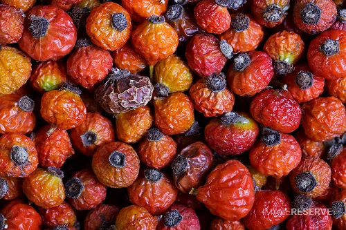 Dried Rose Hips